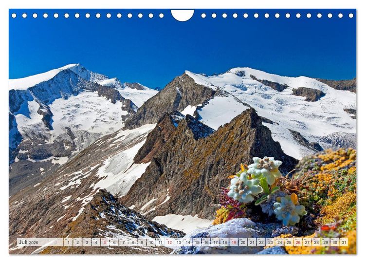 Produktbild: Meine Giganten in den Alpen &Ouml;sterreichs (Wandkalender 2026 DIN A4 quer), CALVENDO Monatskalender