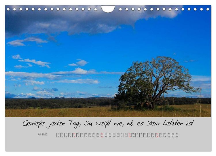 Produktbild: Kleine und gro&szlig;e Wahrheiten - Spr&uuml;che zum Nachdenken (Wandkalender 2026 DIN A4 quer), CALVENDO Monatskalender