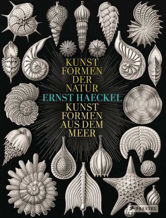 Produktbild: Ernst Haeckel