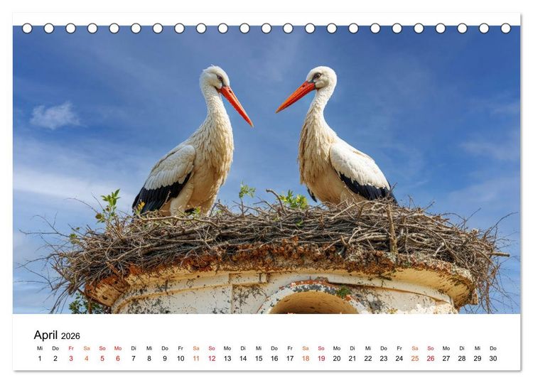 Produktbild: St&ouml;rche - Zeit f&uuml;r sch&ouml;ne Augenblicke (Tischkalender 2026 DIN A5 quer), CALVENDO Monatskalender
