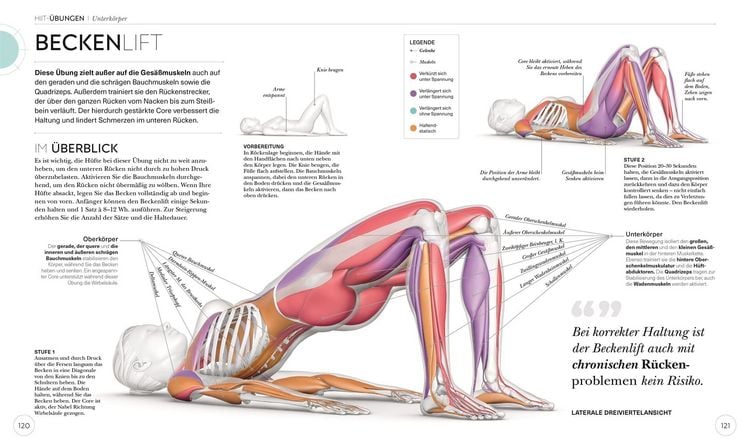Produktbild: HIIT - Die Anatomie verstehen