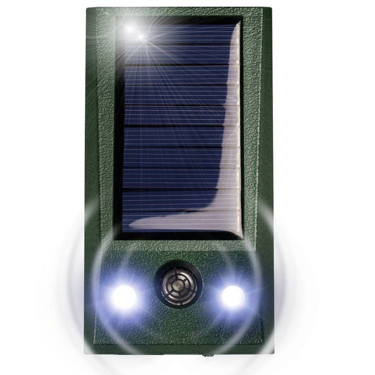 Produktbild: Gardigo Solar-Tierabwehr Basic Tierabwehrger&auml;t Funktionsart Multifrequenz, LED-Licht 1St.