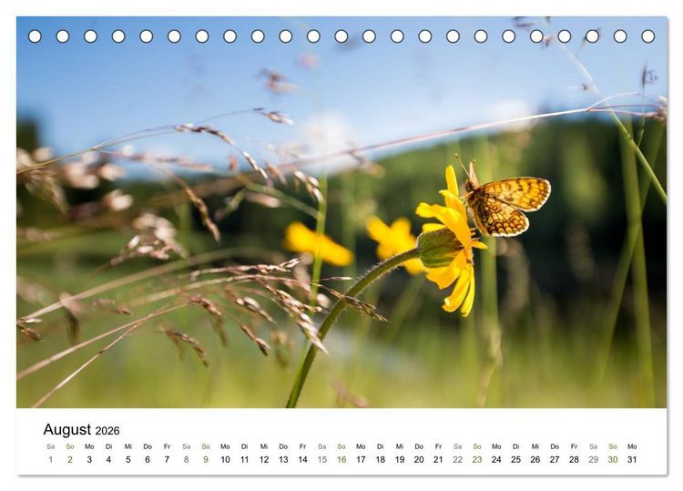 Produktbild: Traumlandschaften im Bayrischen Wald (Tischkalender 2026 DIN A5 quer), CALVENDO Monatskalender