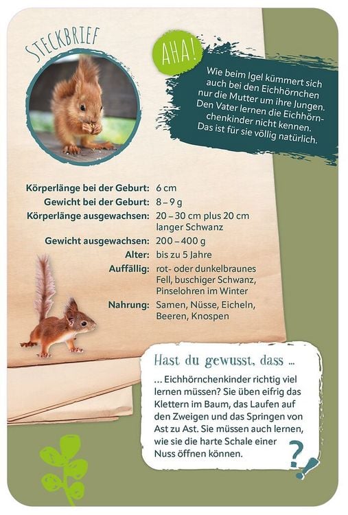 Produktbild: Die 100 s&uuml;&szlig;esten Tierbabys