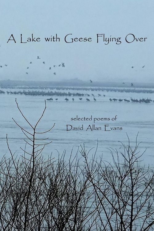 Produktbild: A Lake with Geese Flying Over