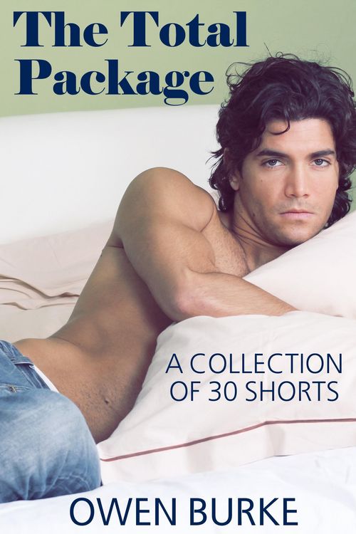 Produktbild: The Total Package: Gay Erotica Box Set