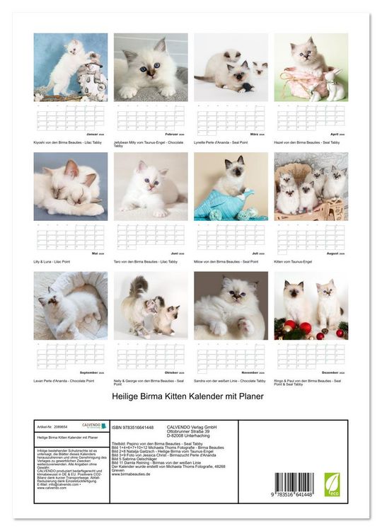 Produktbild: Heilige Birma Kitten Kalender mit Planer (hochwertiger Premium Wandkalender 2026 DIN A2 hoch), Kunstdruck in Hochglanz