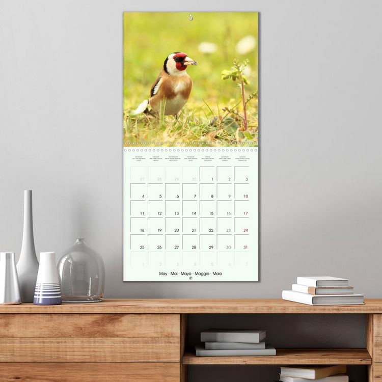 Produktbild: La parade des plumes (Calendrier mural carr&eacute; 2026 30x30 cm) Calendrier double avec une page pour vos prises de notes