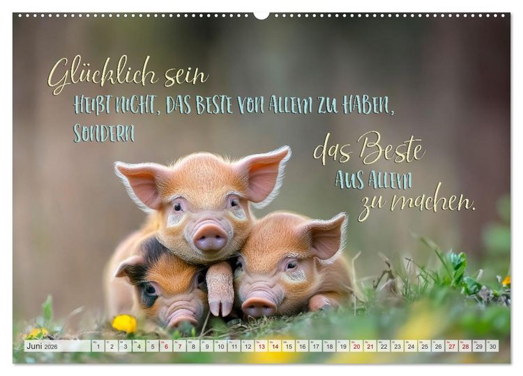 Produktbild: Ein tierisch gutes Jahr (hochwertiger Premium Wandkalender 2026 DIN A2 quer), Kunstdruck in Hochglanz