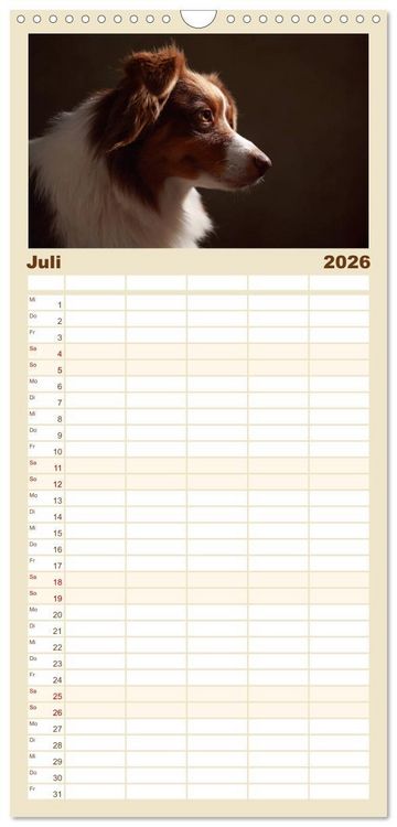 Produktbild: Familienplaner 2026 - Charmante Australian Shepherds mit 5 Spalten (Wandkalender, 21 x 45 cm) CALVENDO