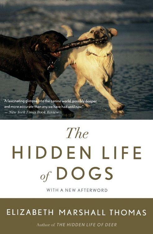 Produktbild: Hidden Life of Dogs, The