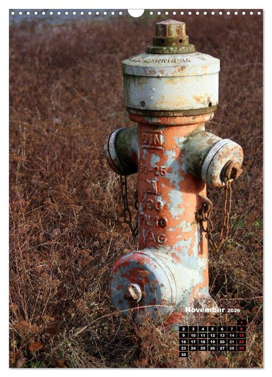 Produktbild: Nostalgie Hydranten (Wandkalender 2026 DIN A3 hoch), CALVENDO Monatskalender
