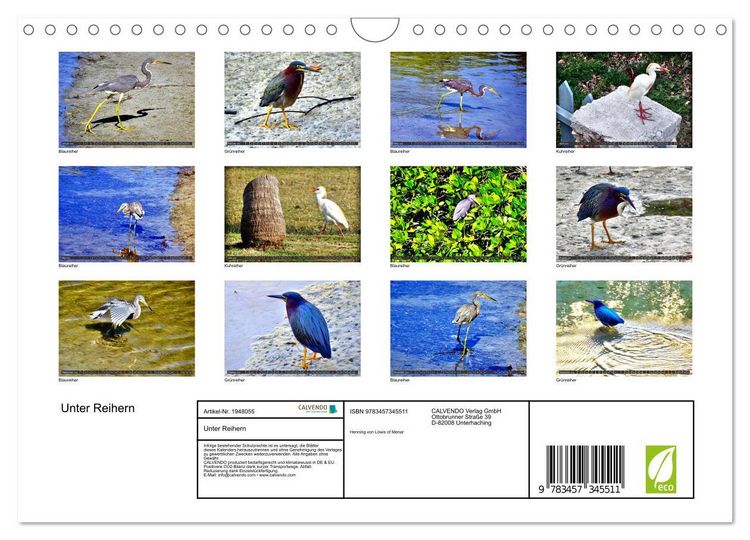 Produktbild: Unter Reihern (Wandkalender 2026 DIN A4 quer), CALVENDO Monatskalender