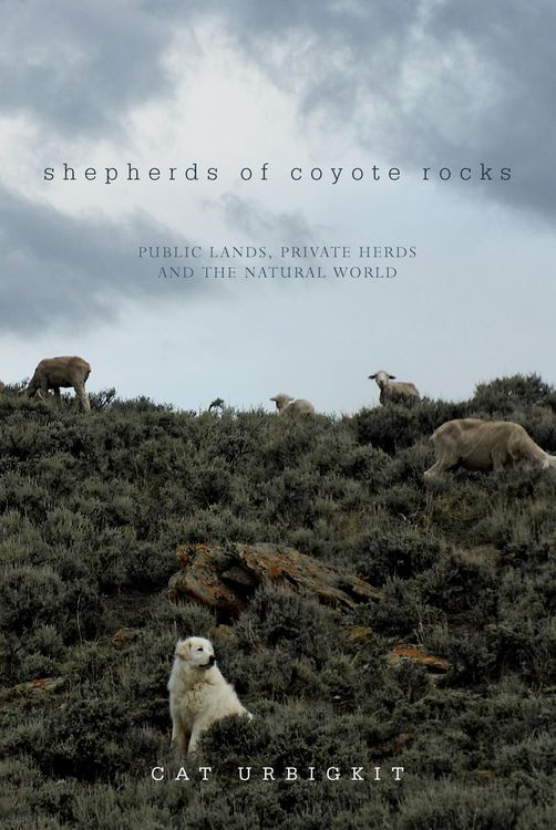 Produktbild: Shepherds of Coyote Rocks