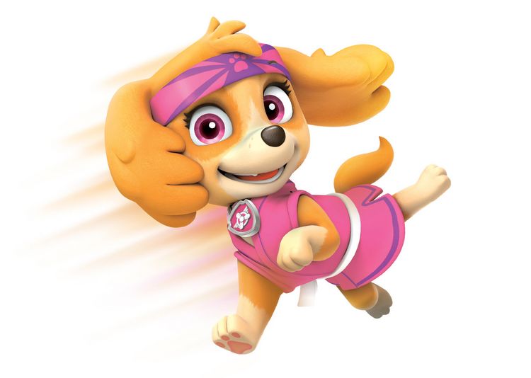 Produktbild: Paw Patrol - Das Spiel kann losgehen