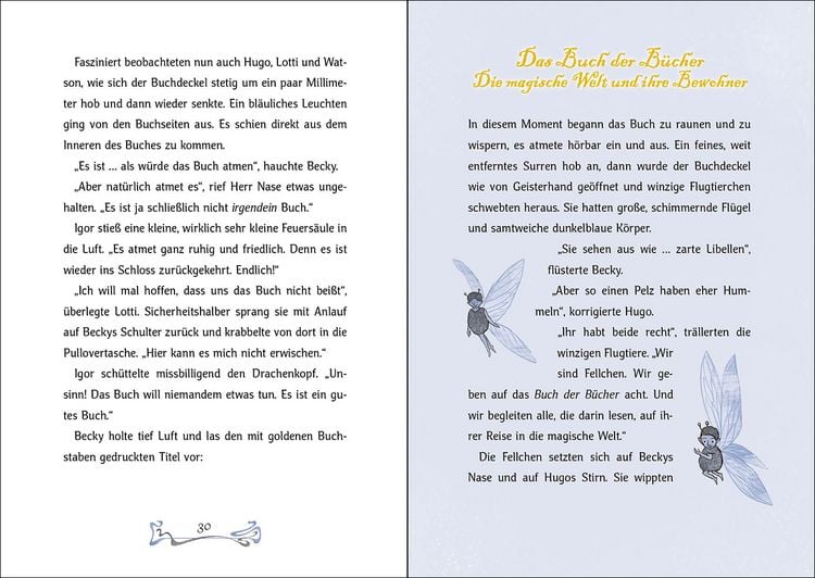 Produktbild: Das B&uuml;cherschloss (Band 2) - Der verzauberte Schl&uuml;ssel