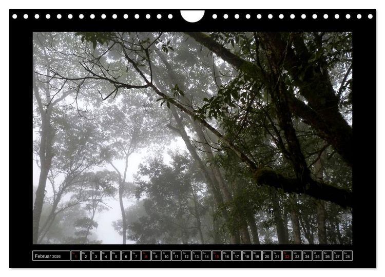 Produktbild: Venezuela & Caracas (Wandkalender 2026 DIN A4 quer), CALVENDO Monatskalender