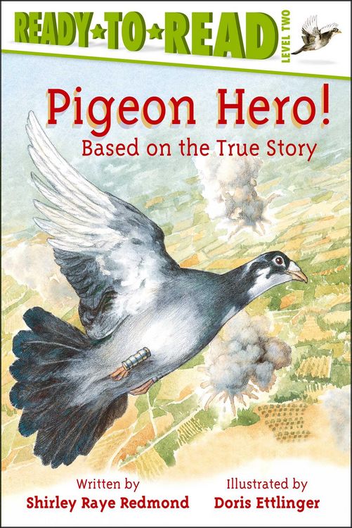 Produktbild: Pigeon Hero!