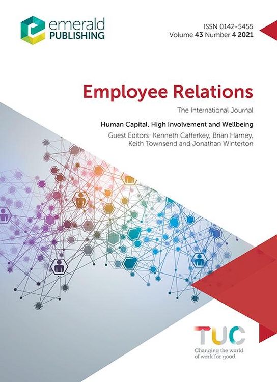 Produktbild: Human Capital, High Involvement and Wellbeing