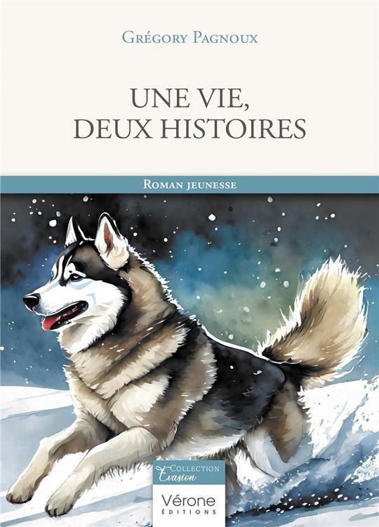 Produktbild: Une vie, deux histoires