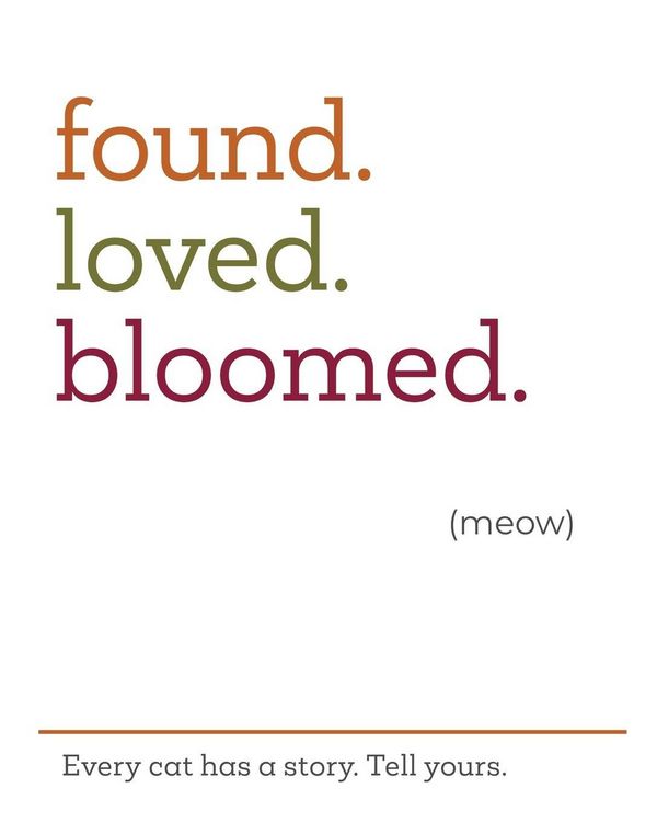 Produktbild: found.loved.bloomed. (meow)