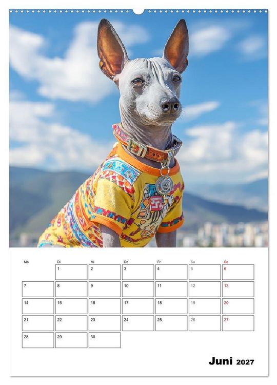 Produktbild: Xolos. Seelenhunde aus Mexiko (Wandkalender 2027 DIN A2 hoch), CALVENDO Monatskalender
