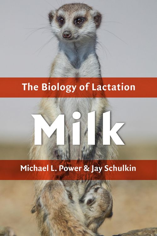 Produktbild: Milk