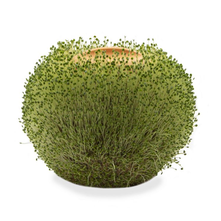 Produktbild: Terracotta Round Planter