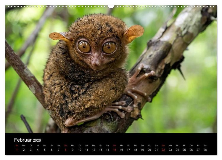 Produktbild: Philippinen - Natur und Fiesta (hochwertiger Premium Wandkalender 2026 DIN A2 quer), Kunstdruck in Hochglanz