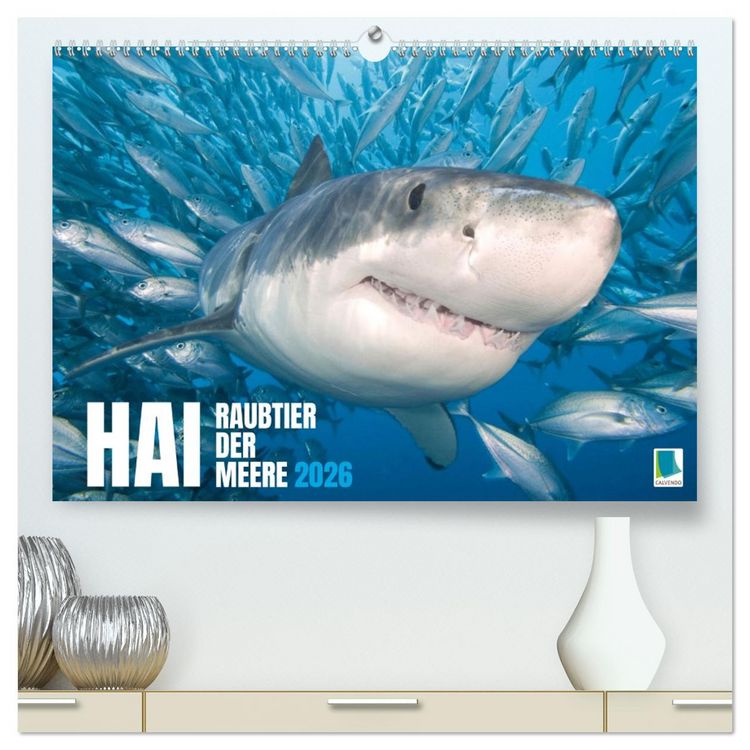 Produktbild: Hai: Raubtier der Meere (hochwertiger Premium Wandkalender 2026 DIN A2 quer), Kunstdruck in Hochglanz