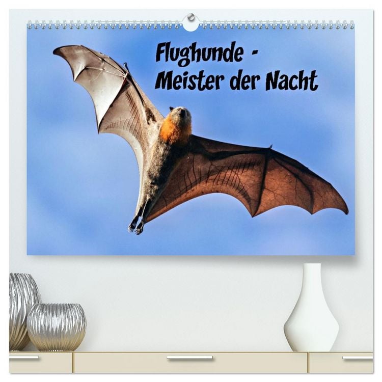 Produktbild: Flughunde - Meister der Nacht (hochwertiger Premium Wandkalender 2026 DIN A2 quer), Kunstdruck in Hochglanz