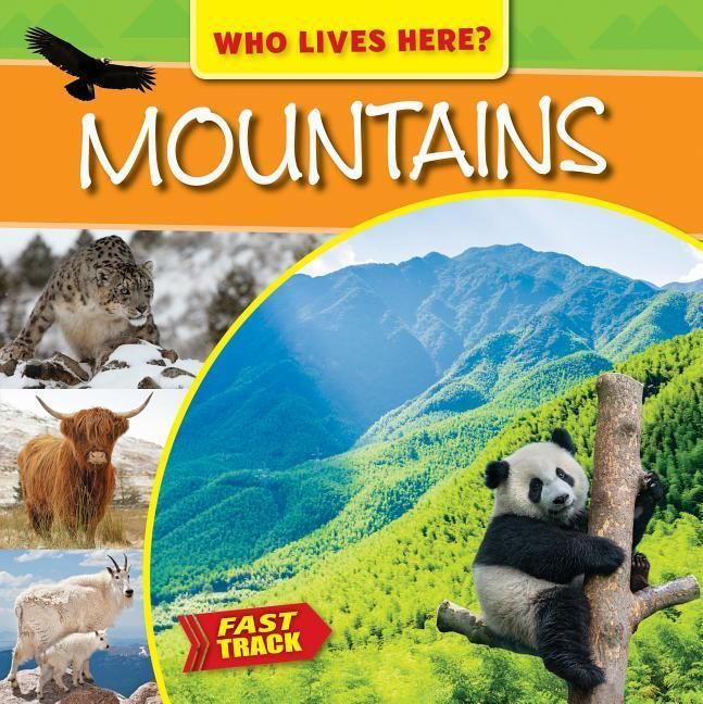 Produktbild: Mountains