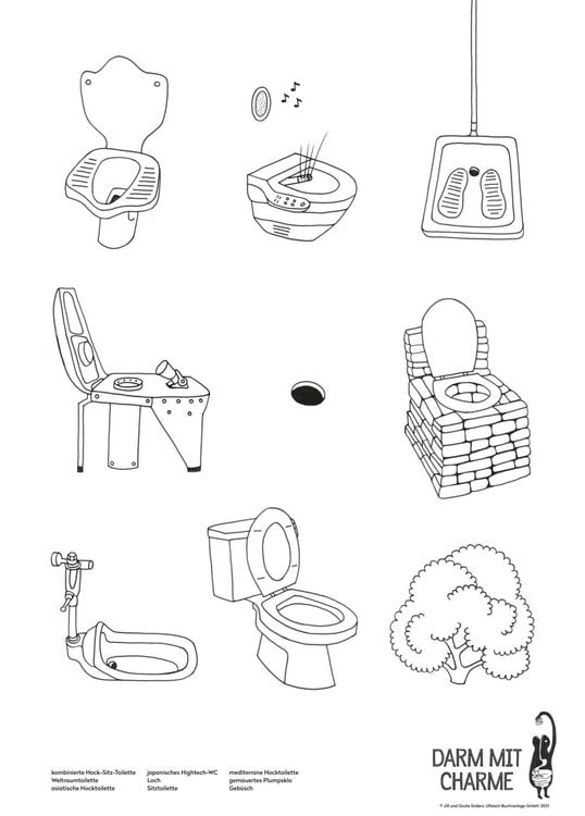 Produktbild: Plakat, "Darm mit Charme", Toiletten aller Welt