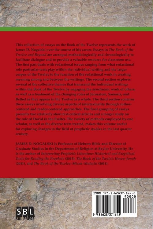 Produktbild: The Book of the Twelve and Beyond