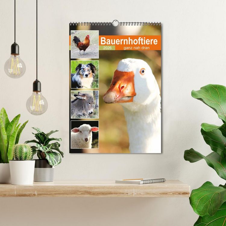 Produktbild: Bauernhoftiere, ganz nah dran (Wandkalender 2026 DIN A3 hoch), CALVENDO Monatskalender