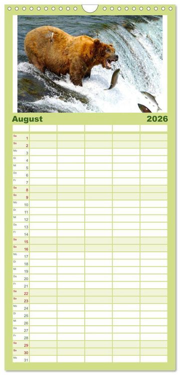 Produktbild: Familienplaner 2026 - B&auml;ren - Pandas, Grizzlyb&auml;ren und Co. mit 5 Spalten (Wandkalender, 21 x 45 cm) CALVENDO