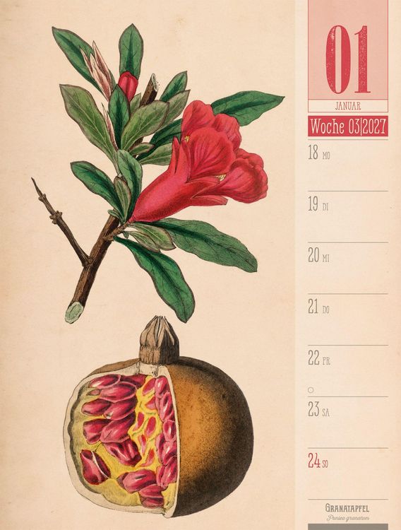 Produktbild: Culinarium Wochenplaner Kalender 2027 | K&uuml;che, Kr&auml;uter, Kurioses