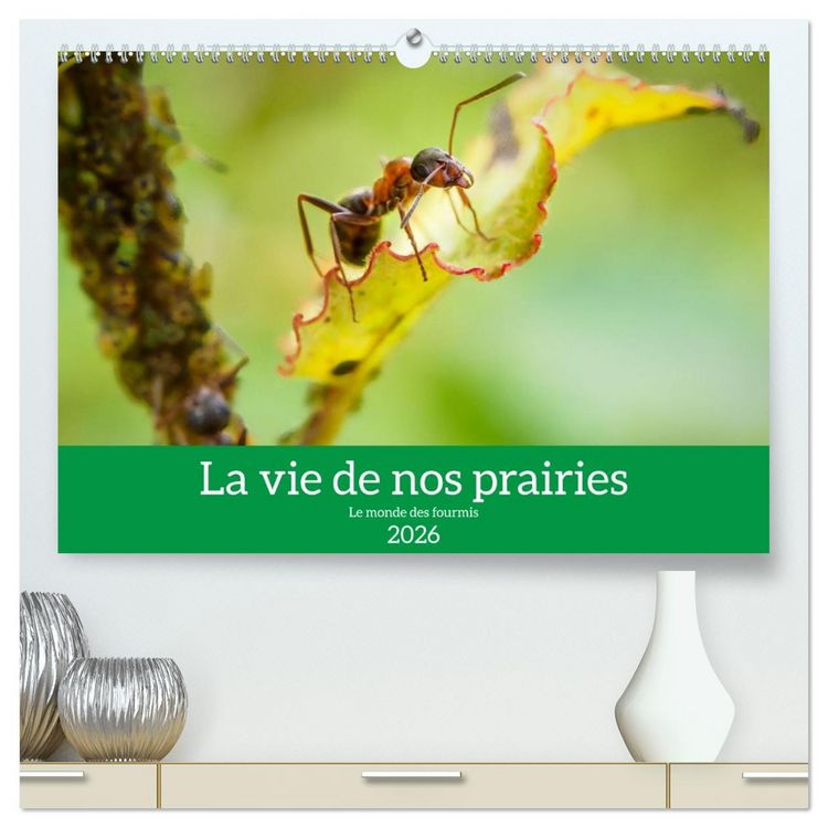 Produktbild: La vie de nos prairies - Le monde des fourmis (Calendrier mural 2026 DIN A2 vertical) calendrier de bureau