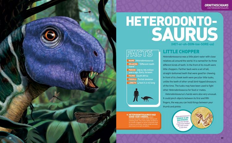 Produktbild: National Geographic Kids Ultimate Dinopedia, 2nd Edition