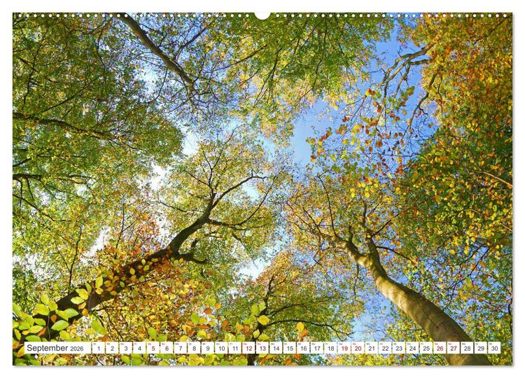 Produktbild: Naturlandschaften zwischen Himmel und Erde (Wandkalender 2026 DIN A2 quer), CALVENDO Monatskalender