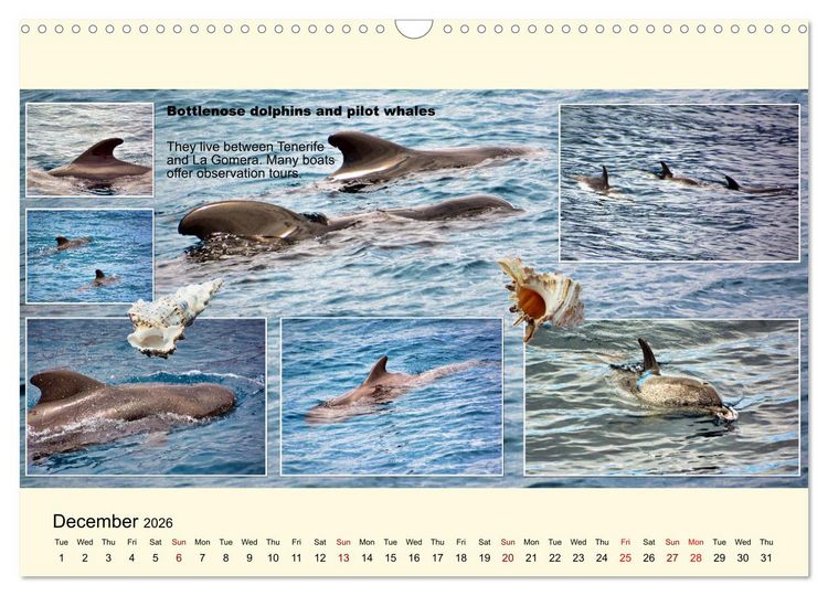 Produktbild: Enchanting Tenerife (Wall Calendar 2026 DIN A3 landscape), CALVENDO 12 Month Wall Calendar