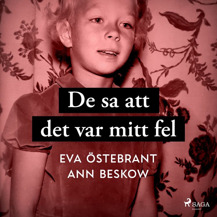 Produktbild: De sa att det var mitt fel