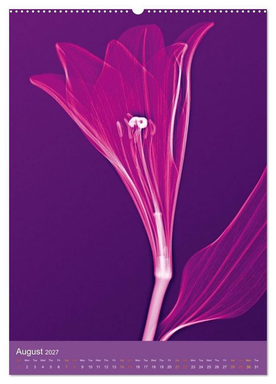 Produktbild: Blossoms between light and colour (Wall Calendar 2027 DIN A2 portrait), CALVENDO 12 Month Wall Calendar