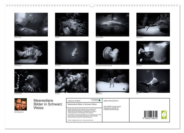 Produktbild: Meerestiere Bilder in Schwarz Weiss (hochwertiger Premium Wandkalender 2026 DIN A2 quer), Kunstdruck in Hochglanz