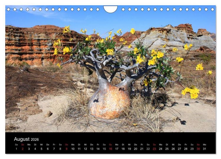 Produktbild: Abenteuer Madagaskar (Wandkalender 2026 DIN A4 quer), CALVENDO Monatskalender
