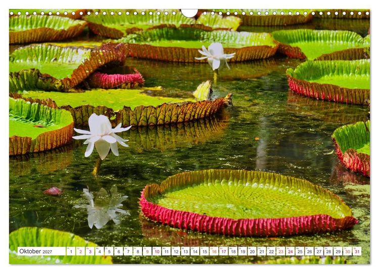 Produktbild: Mauritius - Sch&ouml;nheit im Indischen Ozean (Wandkalender 2027 DIN A3 quer), CALVENDO Monatskalender