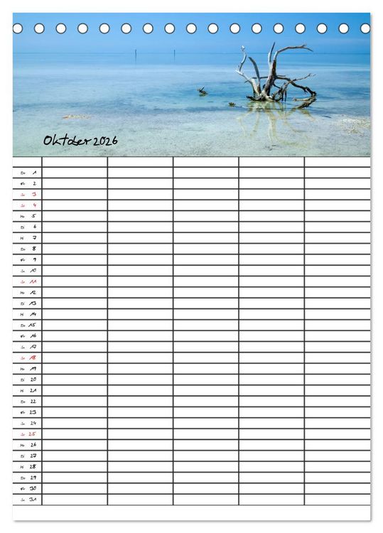 Produktbild: Idyllisches Florida / Familienplaner (Tischkalender 2026 DIN A5 hoch), CALVENDO Monatskalender