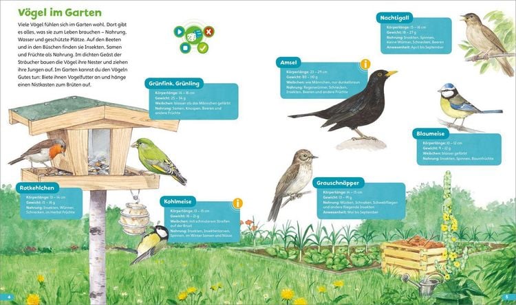 Produktbild: BOOKii&reg; H&ouml;ren und Staunen Heimische V&ouml;gel