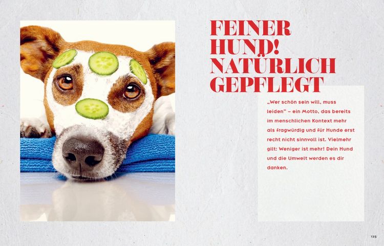 Produktbild: Oh Happy Dog!