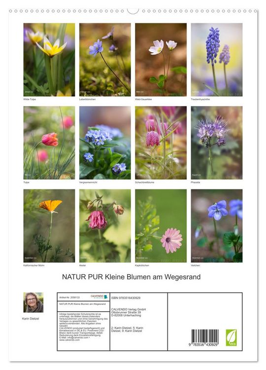 Produktbild: NATUR PUR Kleine Blumen am Wegesrand (hochwertiger Premium Wandkalender 2026 DIN A2 hoch), Kunstdruck in Hochglanz